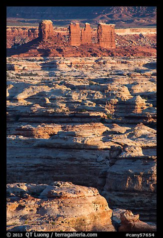 Maze canyons and Chocolate Drops. Canyonlands National Park, Utah, USA.