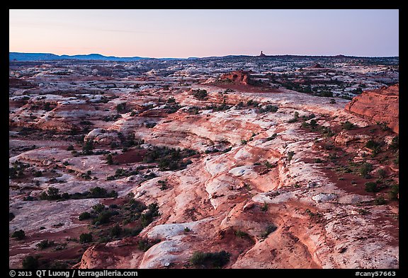 Jasper Canyon from Petes Mesa at dawn, Maze District. Canyonlands National Park, Utah, USA.