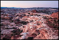 Jasper Canyon from Petes Mesa at dawn, Maze District. Canyonlands National Park, Utah, USA.