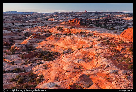 Jasper Canyon from Petes Mesa at sunrise, Maze District. Canyonlands National Park, Utah, USA.