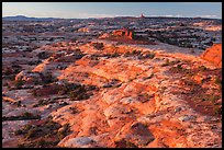 Jasper Canyon from Petes Mesa at sunrise, Maze District. Canyonlands National Park, Utah, USA.