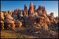 Dollhouse spires at sunrise, Maze District. Canyonlands National Park ( color)