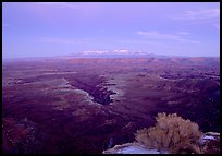 Side Gorge seen from Grand View Point, dusk, Island in the Sky. Canyonlands National Park, Utah, USA.