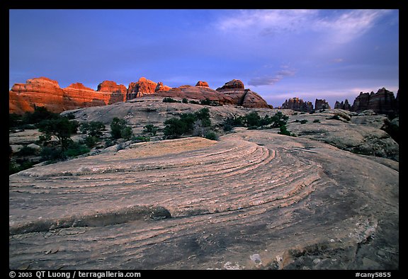 Sandstone swirls and Needles with last light, the Needles. Canyonlands National Park, Utah, USA.