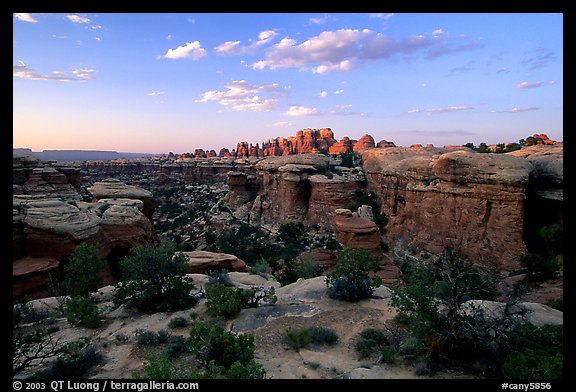 Needles at sunset, the Needles. Canyonlands National Park