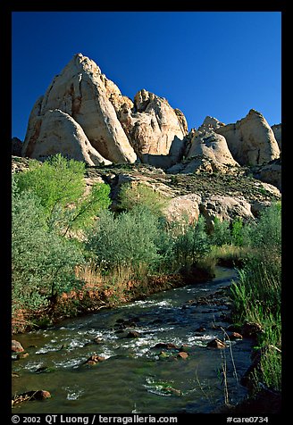 Freemont River and spring vegetation. Capitol Reef National Park, Utah, USA.