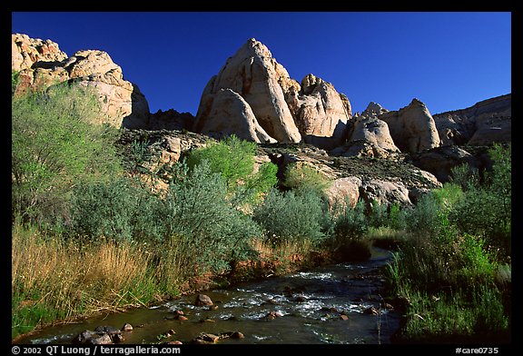 Freemont River and spring vegetation. Capitol Reef National Park (color)