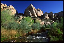 Freemont River and spring vegetation. Capitol Reef National Park, Utah, USA. (color)