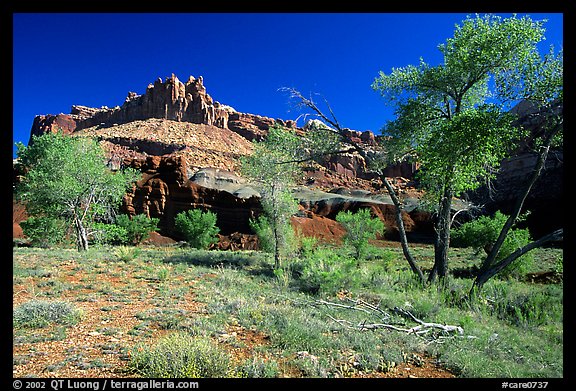 The Castle, morning spring. Capitol Reef National Park