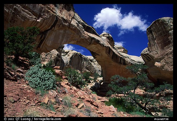 Hickman Bridge, 130 foot span. Capitol Reef National Park, Utah, USA.