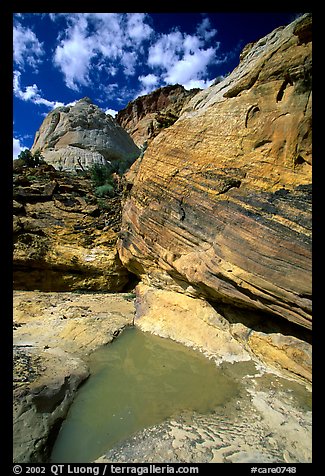 Pockets of water in Waterpocket Fold near Capitol Gorge. Capitol Reef National Park, Utah, USA.