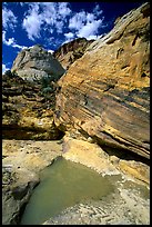 Pockets of water in Waterpocket Fold near Capitol Gorge. Capitol Reef National Park, Utah, USA.