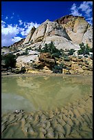 Pockets of water in Waterpocket Fold near Capitol Gorge. Capitol Reef National Park, Utah, USA. (color)