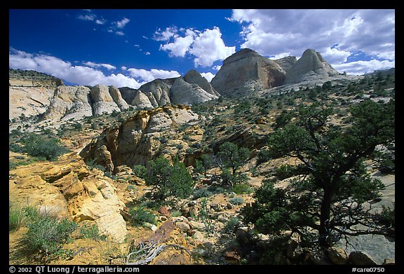 Plateau and domes above Capitol Gorge. Capitol Reef National Park, Utah, USA.