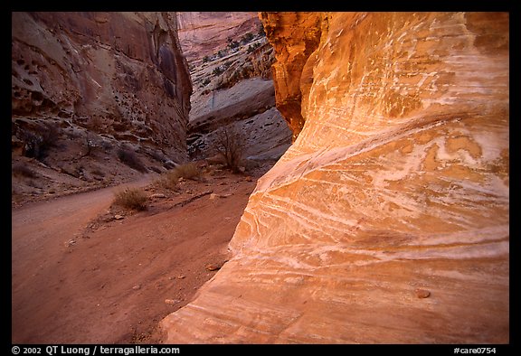 Rock walls, Capitol Gorge. Capitol Reef National Park (color)