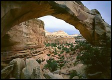 Hickman Bridge, mid-day. Capitol Reef National Park, Utah, USA. (color)