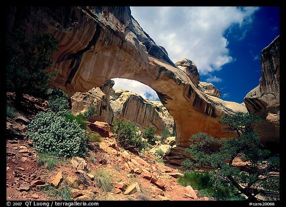 Hickman natural bridge from below. Capitol Reef National Park, Utah, USA.