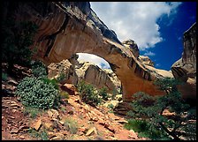 Hickman natural bridge from below. Capitol Reef National Park, Utah, USA.