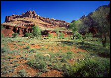 Castle Meadow and Castle, spring. Capitol Reef National Park, Utah, USA.