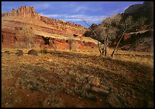 Castle Meadow and Castle, late autum morning. Capitol Reef National Park, Utah, USA. (color)