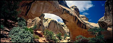 Hickman natural arch. Capitol Reef National Park (Panoramic color)