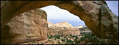 Hickman arch. Capitol Reef National Park (Panoramic color)