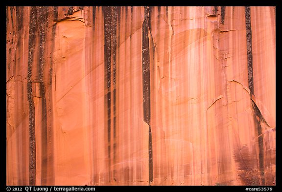 Sandstone cliff with desert varnish. Capitol Reef National Park (color)