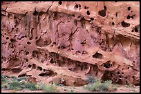 Sandstone cliff wall with holes, Grand Wash. Capitol Reef National Park ( color)