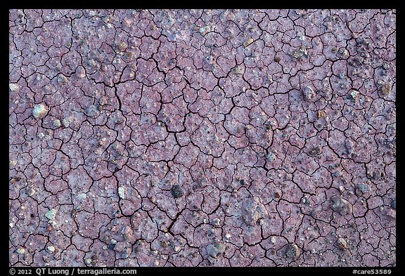 Mud cracks and rocks. Capitol Reef National Park (color)