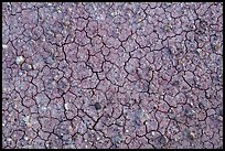 Mud cracks and rocks. Capitol Reef National Park, Utah, USA. (color)