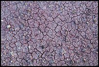 Mud cracks and rocks. Capitol Reef National Park, Utah, USA.