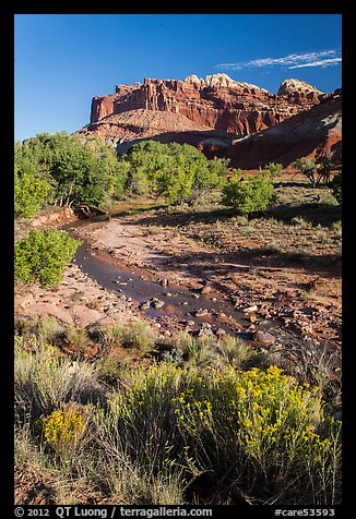 Stream and cliffs. Capitol Reef National Park, Utah, USA.