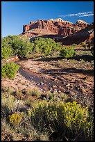 Stream and cliffs. Capitol Reef National Park, Utah, USA. (color)