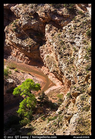 Bend of Sulphur Creek at Goosenecks. Capitol Reef National Park, Utah, USA.