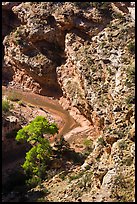 Bend of Sulphur Creek at Goosenecks. Capitol Reef National Park ( color)