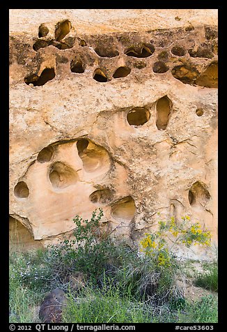 Rock with holes, Fremont River gorge. Capitol Reef National Park (color)