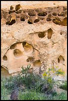 Rock with holes, Fremont River gorge. Capitol Reef National Park ( color)