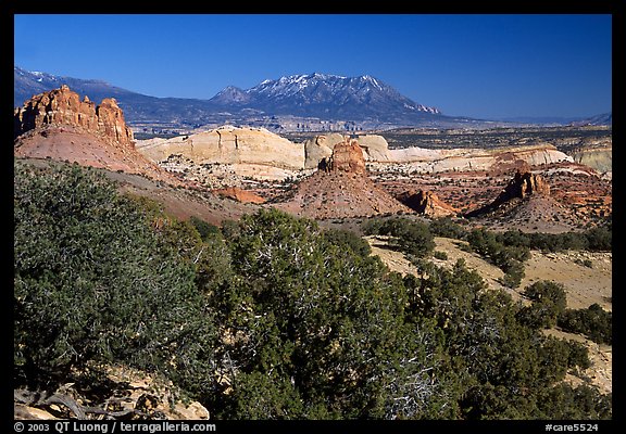 Waterpocket fold from the Burr trail, afternoon. Capitol Reef National Park