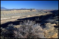 Strike Valley overlook view, late afternoon. Capitol Reef National Park, Utah, USA.