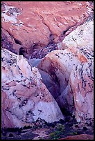 Entrance of Halls Creek Narrows. Capitol Reef National Park, Utah, USA.