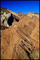 Red slide, morning. Capitol Reef National Park ( color)