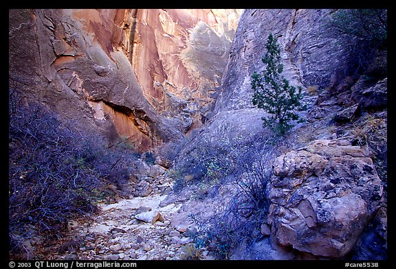 Surprise canyon. Capitol Reef National Park, Utah, USA.