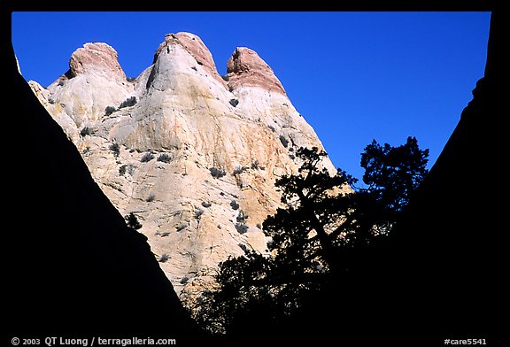 Sandstone towers seen from Surprise Canyon. Capitol Reef National Park (color)