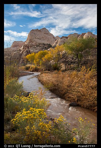 Fremont River, shrubs and trees in fall. Capitol Reef National Park, Utah, USA.