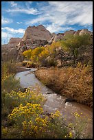 Fremont River, shrubs and trees in fall. Capitol Reef National Park, Utah, USA. (color)