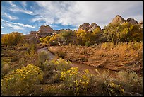 Fremont River Canyon in fall. Capitol Reef National Park, Utah, USA. (color)