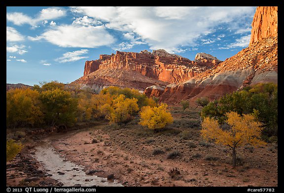 Sulphur Creek, trees in fall foliage, and Castle, Fruita. Capitol Reef National Park, Utah, USA.