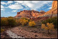 Sulphur Creek, trees in fall foliage, and Castle, Fruita. Capitol Reef National Park, Utah, USA. (color)