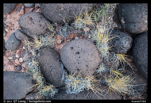 Ground View with basalt boulders and grass. Capitol Reef National Park (color)