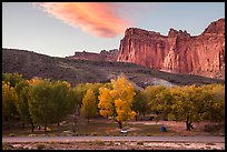 Fruita Campground and cliffs at sunset. Capitol Reef National Park, Utah, USA.